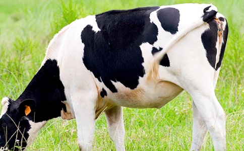 �����x���������(d��ng)�̌W(xu��)��˼