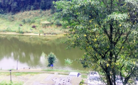 �r(n��ng)�Ҙ��߄�������