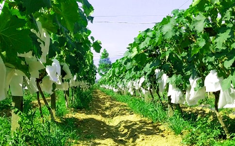 �r(n��ng)�Ҙ��߄�������