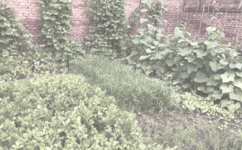 �r(n��ng)���ﲡ�x�����ط��������x11ƪ��