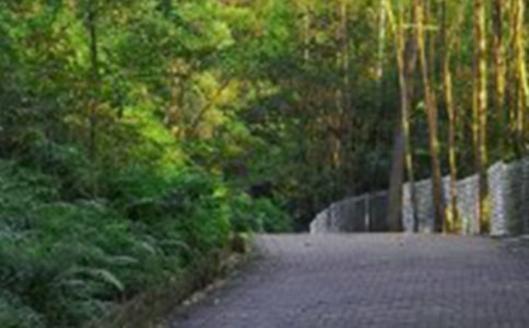 �n�ġ���ɽ�����_���Ľ̰��O(sh��)Ӌ