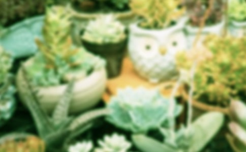 �����������꼉���g(sh��)�f�n��