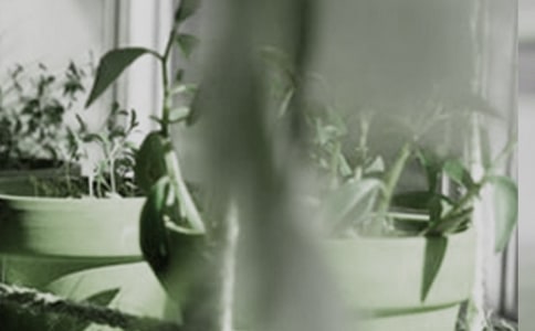 ��������400��9ƪ