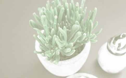 盆栽作文600字六篇