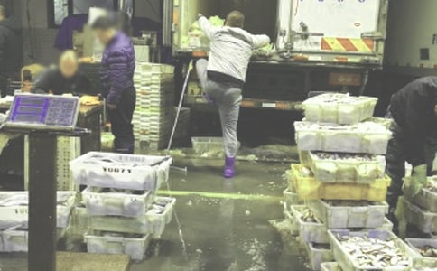 ���l(f��)��ͬģ��R��7ƪ