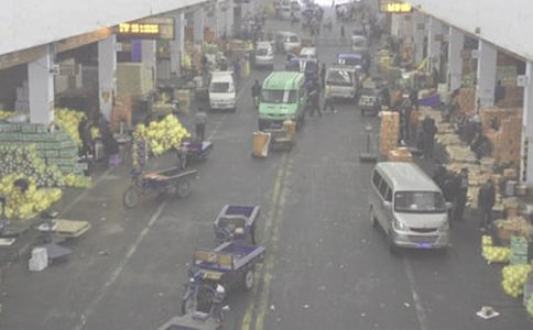 ���l(f��)��ͬģ�弯�\6ƪ