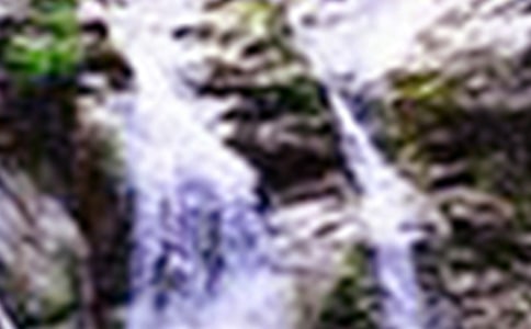 ���ٲ����Ľ̰��O(sh��)Ӌ(j��)