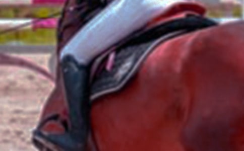 �T�R����400�օR����ƪ