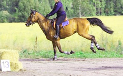 ����Ʒ���T�R����300�օR����ƪ