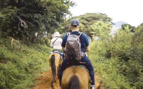 �T�R������(�ϼ�15ƪ)