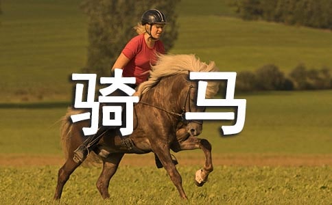 �T�R�x���3ƪ