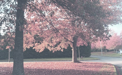 С�W(xu��)�＾��ĩ�|(zh��)���z�y(c��)������ͨ��14ƪ��