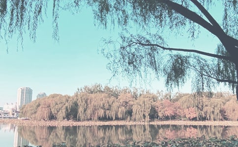 ����＾�����̰������x11ƪ��