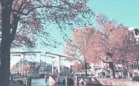 �A���＾��Ⱦ�������̰����ģ����x15ƪ��