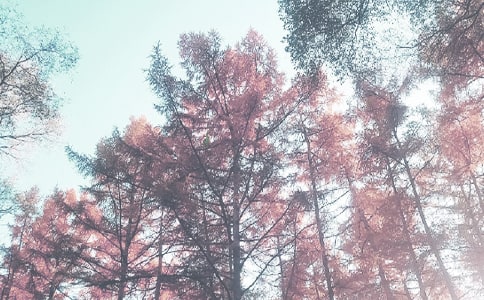 �＾��(y��u)������