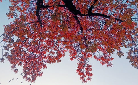 ���յǅǹ��_�����h(yu��n)�����g���p��