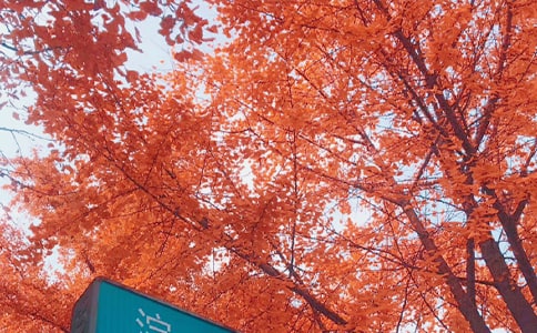 �P(gu��n)�������Ŷ���Ӌ(j��)��