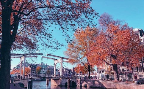 ���ո��I�}���P�A��ԭ�������g���p��