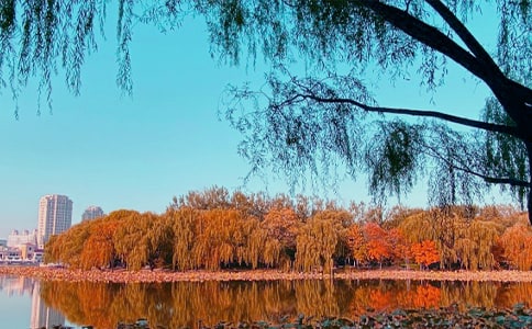 ����������һ���g�p��