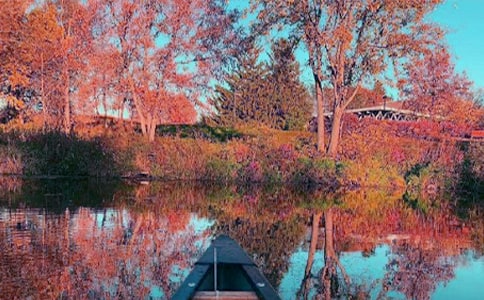 ���������Z���x���