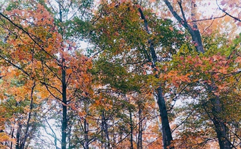 ���������c�����ն��^����x�𰸌����p��