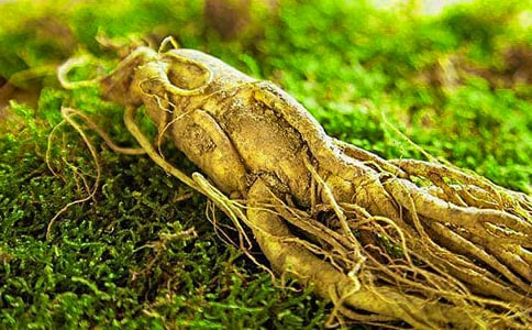 �@�ӳ��˅���ͬ����˪�Ŀ��Y(ji��)