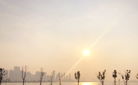 �����ճ��f�n�n��