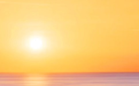 ���P(gu��n)�茑����ă�(y��u)������