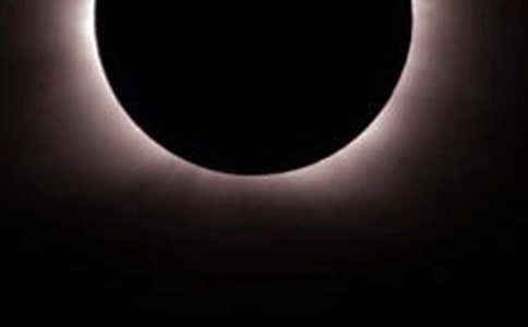 ����ʳ����ʳ���̌W(xu��)��˼ 6ƪ