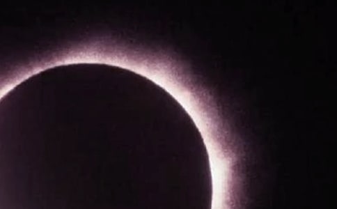 ��ʳ�c��ʳ��(y��u)��̰�