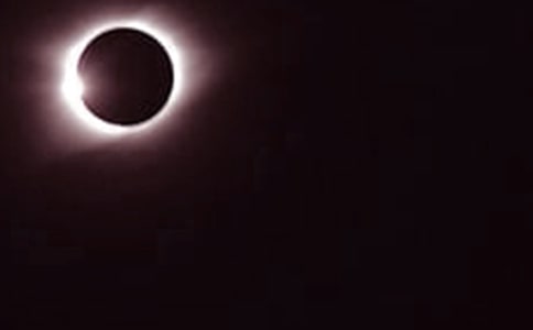 ���꼉�ƌW(xu��)�ԡ���ʳ����ʳ���̌W(xu��)��˼����