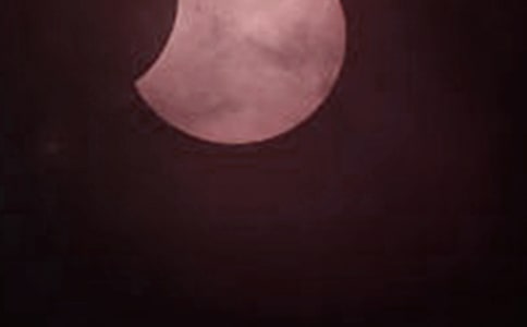 �ҿ�������ʳ����300��