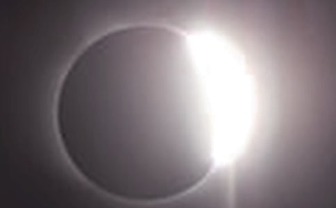 ����ʳ����ʳ���̰�