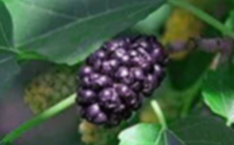 ��ɣ��С�W(xu��)����