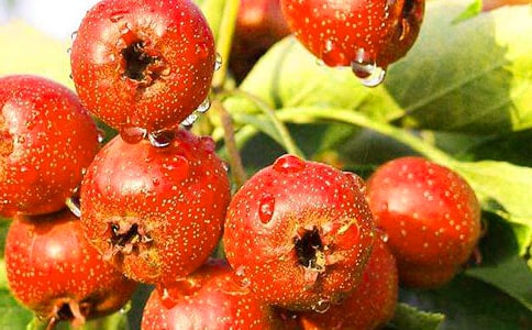 2018�����P(gu��n)��ɽ高�֮���x���