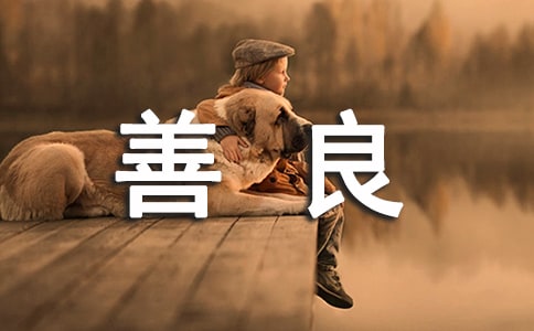 �P�����������Ą�־���£�ͨ��9ƪ��