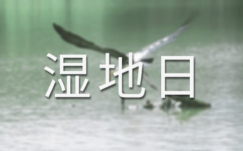 世界濕地日活動總結(jié)