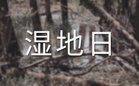 開展世界濕地日宣傳活動總結(jié)(通用5篇)