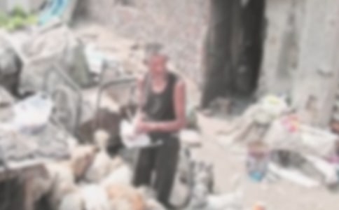 拾荒老人我誤會您了初中作文