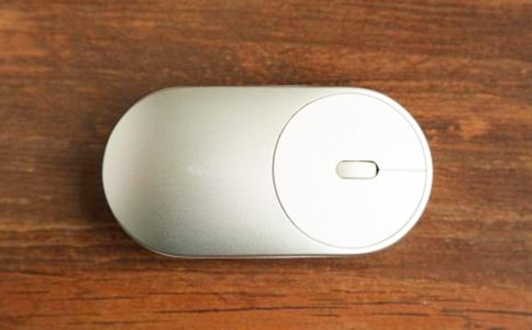 《鼠標(biāo)下的寫意花鳥蔬果》的說課稿