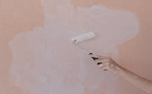 《粉刷墻壁》教學(xué)反思