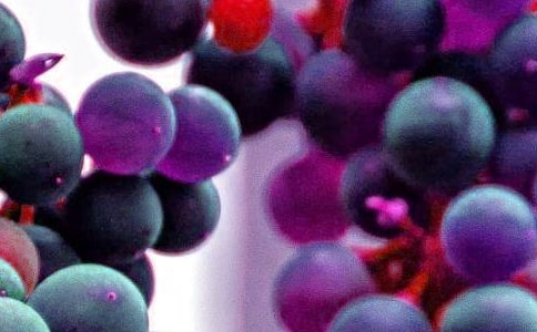 �����ˮ�����޽̰�����