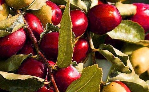 �茑����ˮ���S�յă�(y��u)�����̾��ӣ����x160�䣩