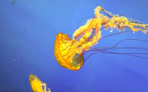 ���ҿ�ˮĸ�m�����~5ƪ