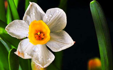 ���p�{(di��o)ˮ���ӵ�ʩ������������^�o�m��ԭ�ļ��g��