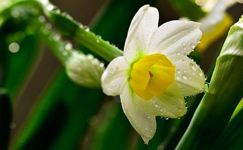 ���p�{(di��o)��ˮ���ӡ��ٴ����ϡ���Ԋԭ�ļ��p��