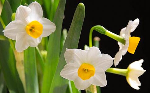 ��������ˮ�����x���