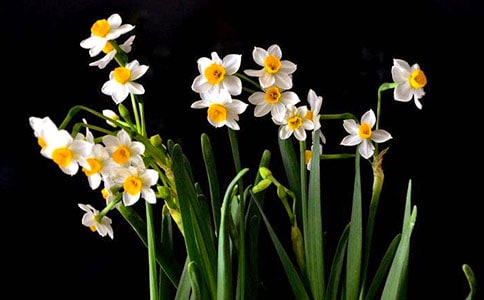 �㽭��ˮ�ɶ������~4ƪ