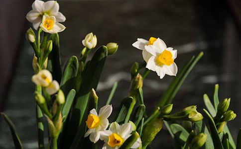 ˮ���ӡ�ҹ���Ԋԭ�ļ��p��