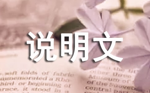 逆態(tài)度650字說明文